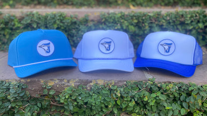Jesuit Blue Jay