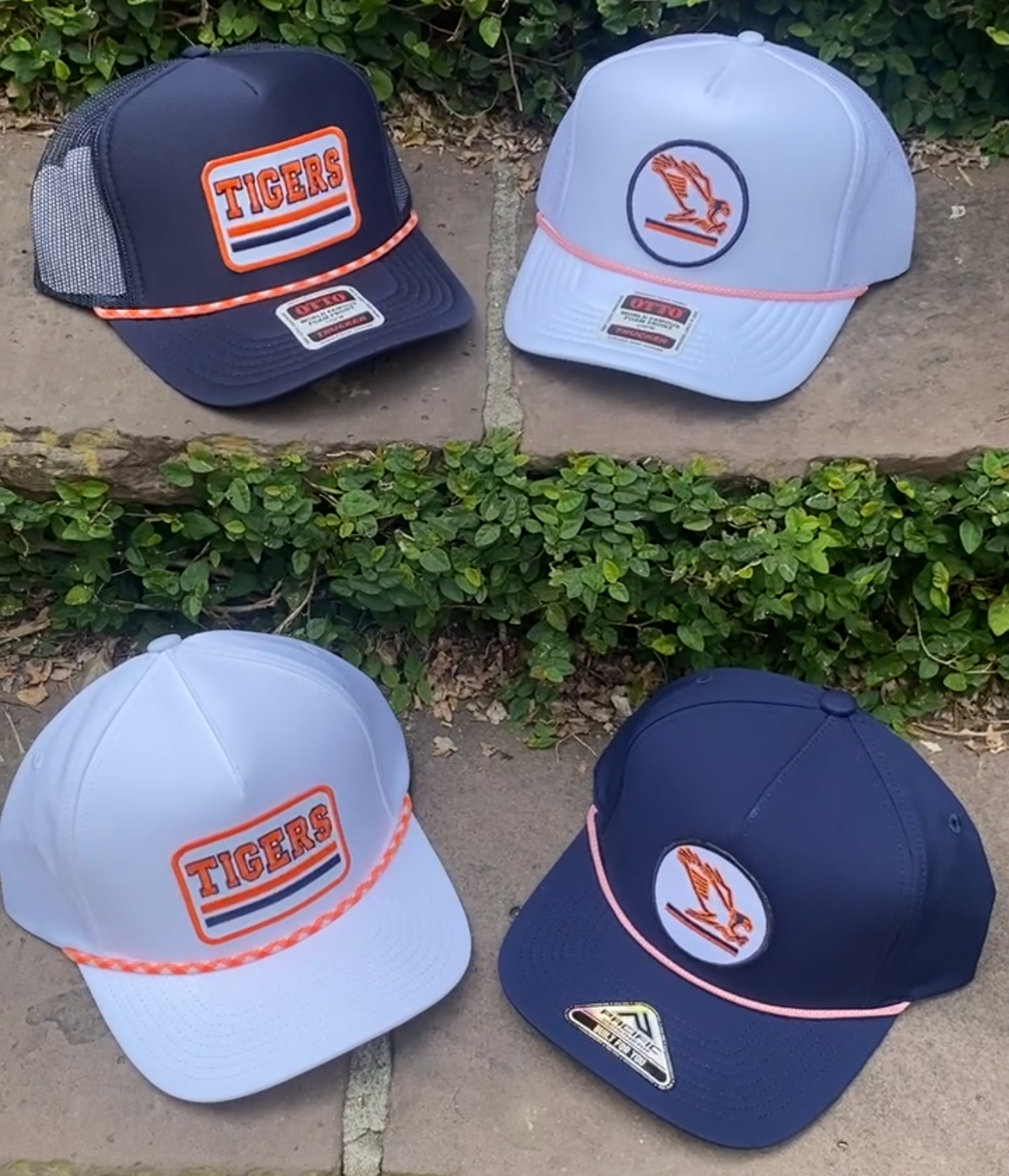 Auburn- Tigers