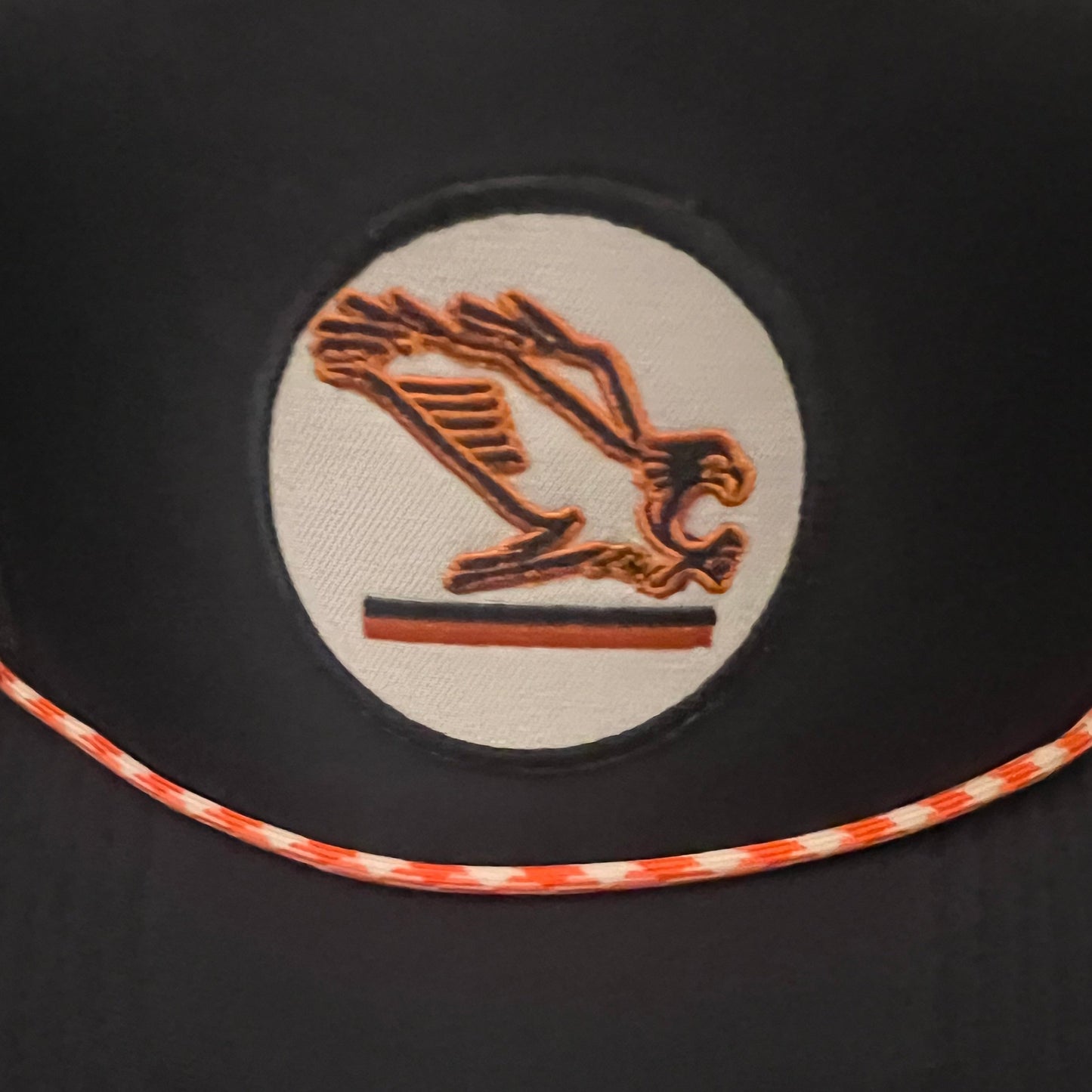 Auburn- Eagle & Tigers